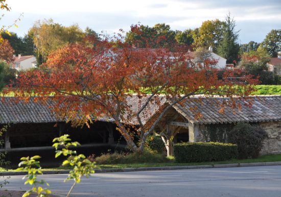 Vieux lavoir de La Chaize-le-Vicomte