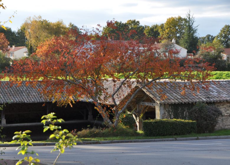 Vieux lavoir de La Chaize-le-Vicomte