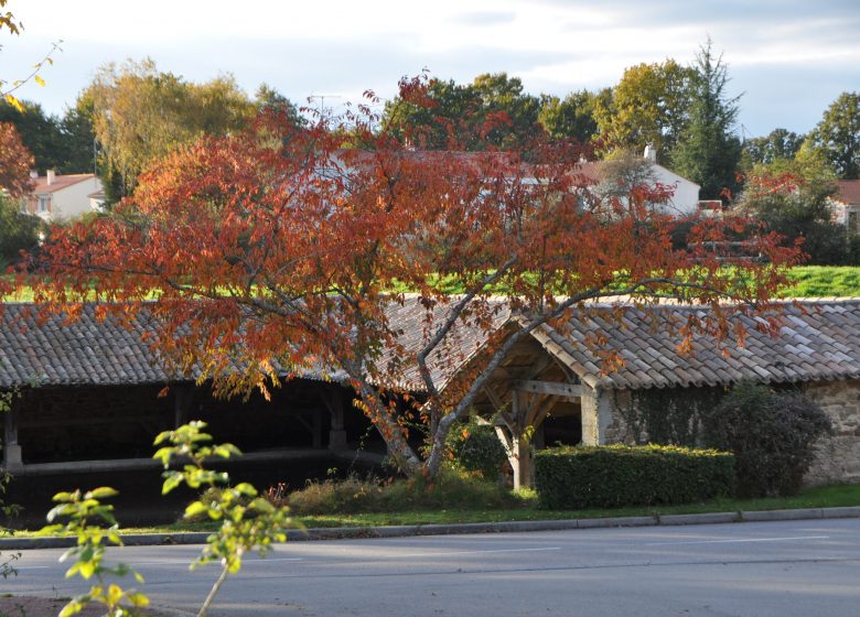 OLD WASHHOUSE OF LA CHAIZE-LE-VICOMTE