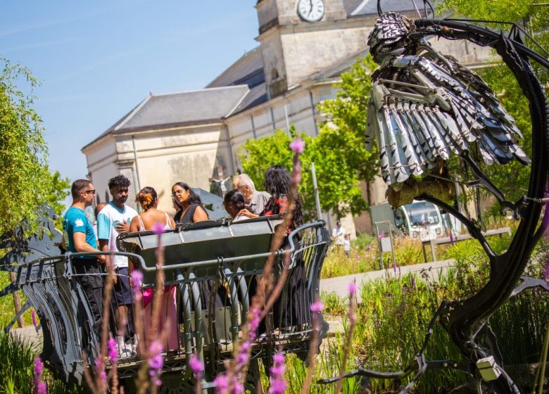 Visite guidée « A la rencontres des Animaux de la Place »