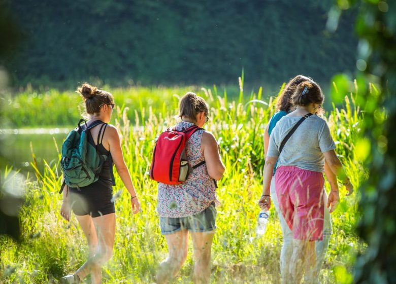 Journée randonnée pédestre au fil de l’Yon avec Détours Vagabonds