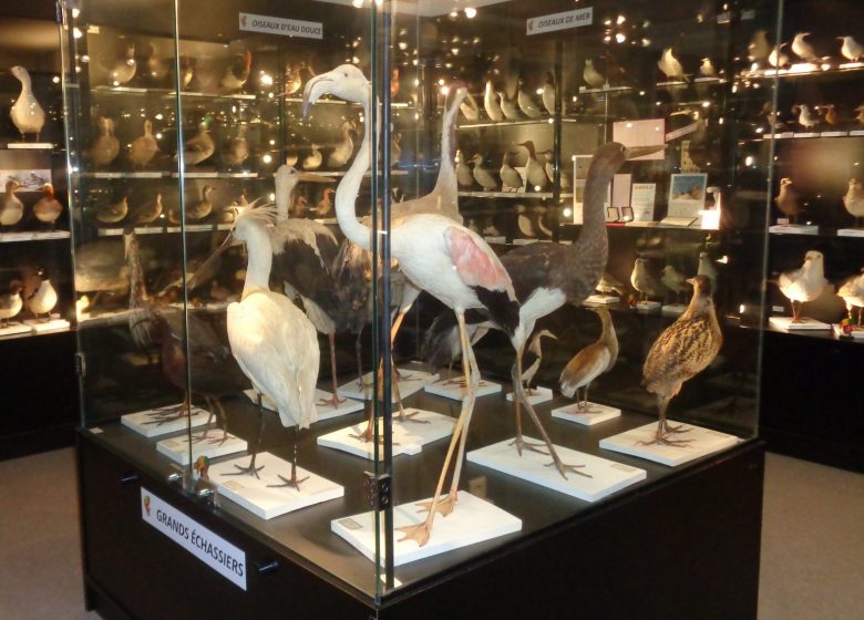 Nuit européenne des Musées