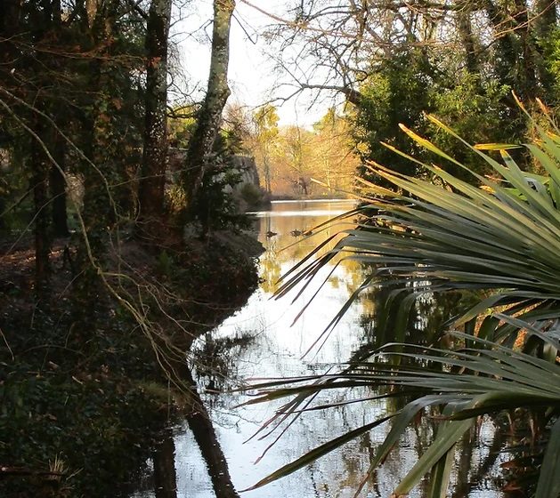 Neurodon au parc de Château de Nesmy