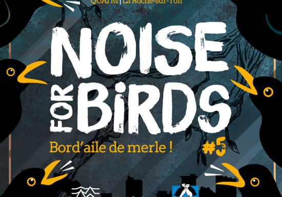 Rendez vous festif LPO – Noise for Birds #5