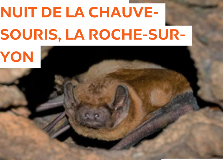 Nuit de la Chauve-souris à la Roche-sur-Yon