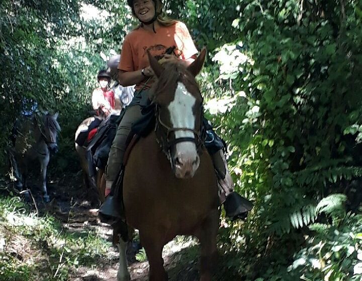 LA FERME DES LONGS CRINS