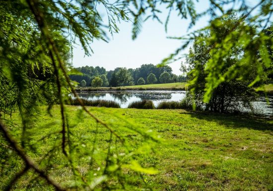 Sentier du Pommier (Mouilleron le Captif)