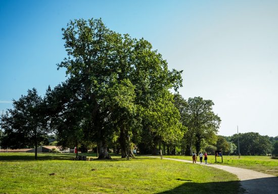 Parc de Beaupuy
