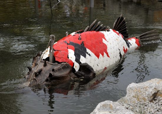 Les Animaux de la Place