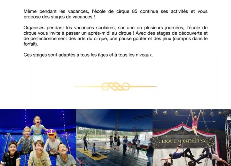 Stages vacances Cirque