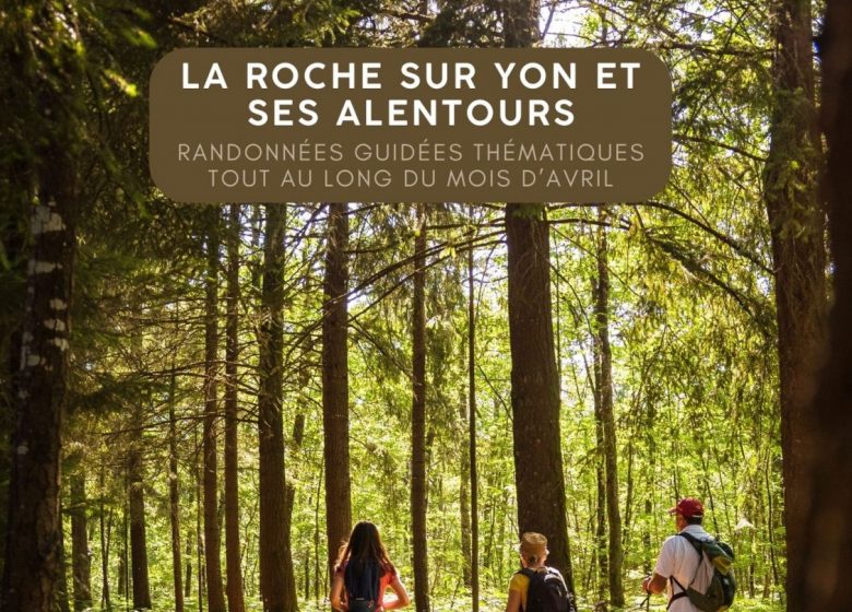 Les sorties nature autour de la Roche/Yon