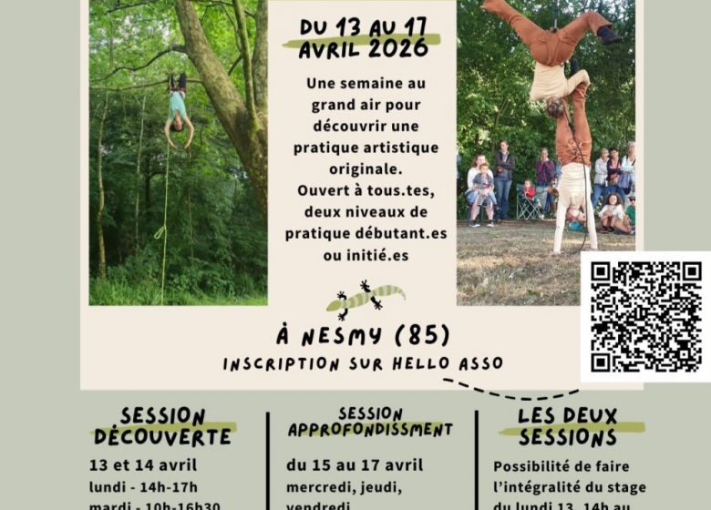 Stage de danse dans les arbres