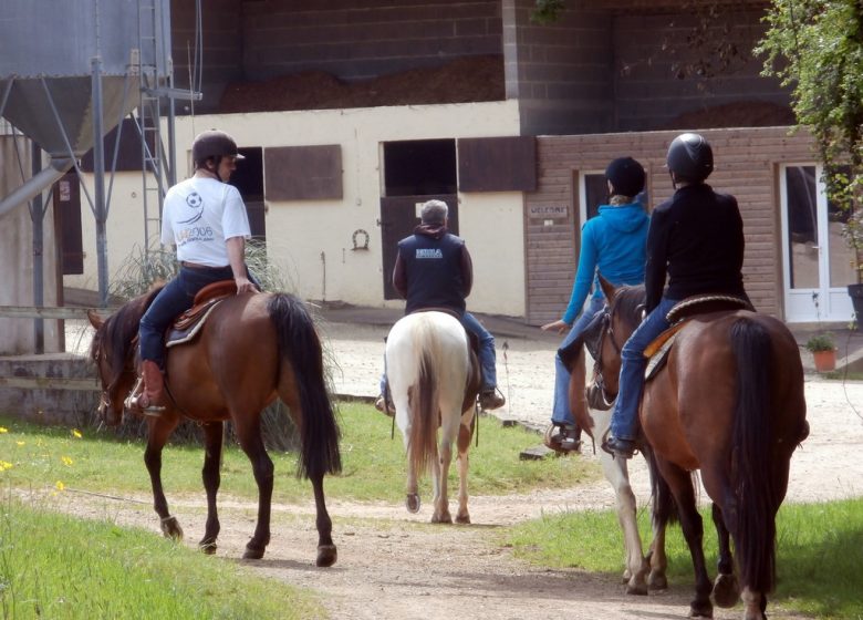 AMPERSAND STABLE