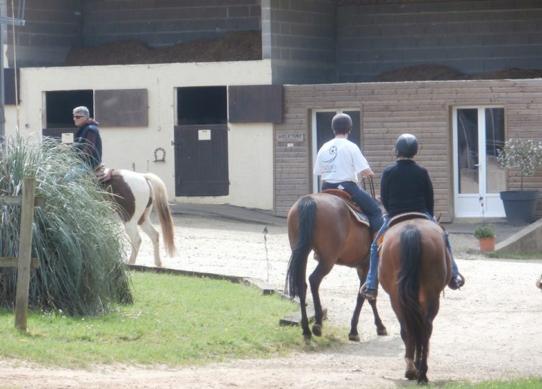 AMPERSAND STABLE