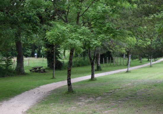 Aire de pique-nique du parc de la Tournerie