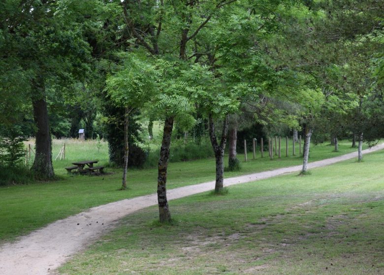 AIRE DE PIQUE-NIQUE DU PARC DE LA TOURNERIE