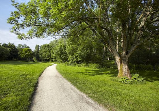 Vallée verte de l’Yon
