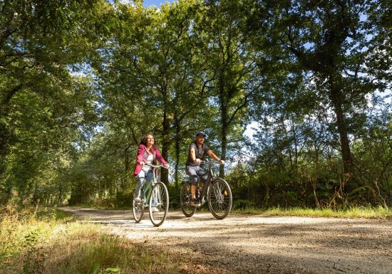 Circuit vélo de La Roche-sur-Yon à Sainte-Flaive-des-Loups