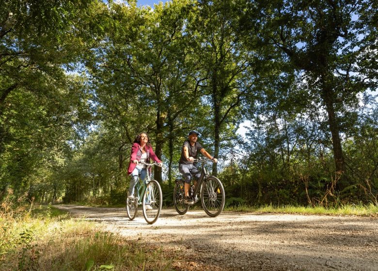 CIRCUIT VÉLO DE LA LA ROCHE-SUR-YON À SAINTE-FLAIVE-DES-LOUPS