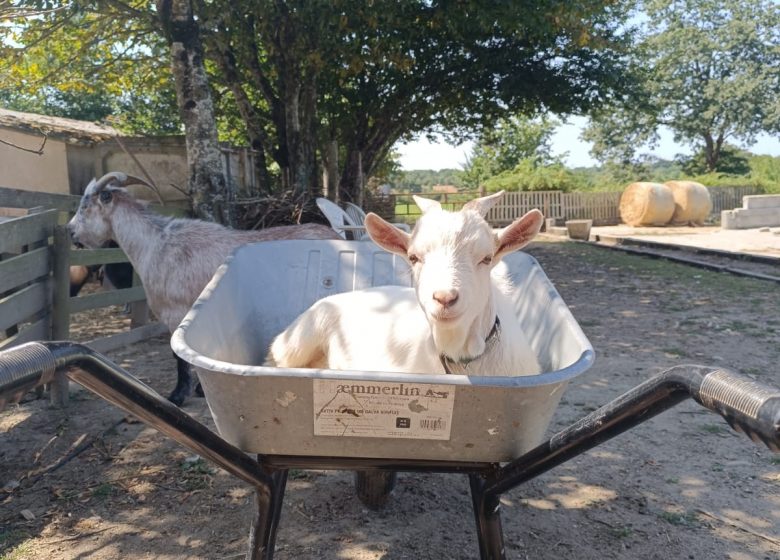 LA FERME PÉDAGOGIQUE DE LA JARRIE