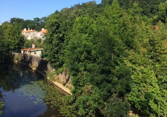 L’Yon dans la ville (La Roche sur Yon)