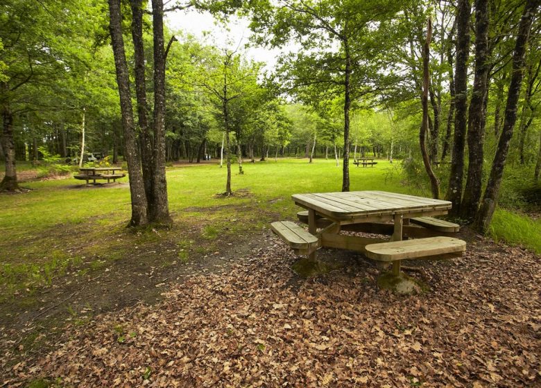 AIRE DE PIQUE-NIQUE DE LA FORÊT DE FOUGERÉ