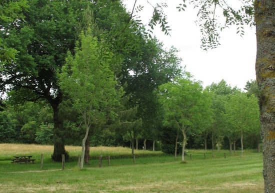 Aire de pique-nique du parc de la Tournerie