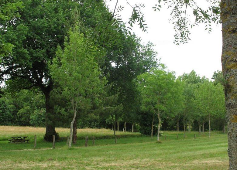 AIRE DE PIQUE-NIQUE DU PARC DE LA TOURNERIE