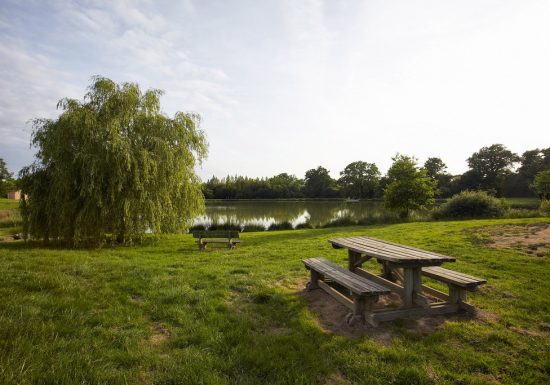 Aire de pique-nique de Malvoisine