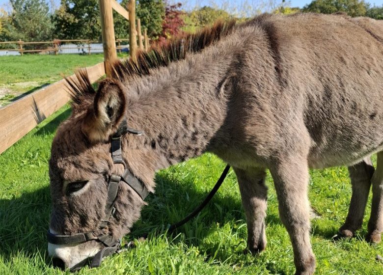 Camping l&rsquo;Ambois