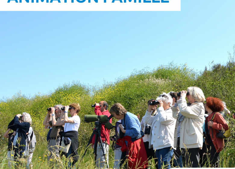 Sortie LPO – Occuper ses enfants dehors, mode d’emploi