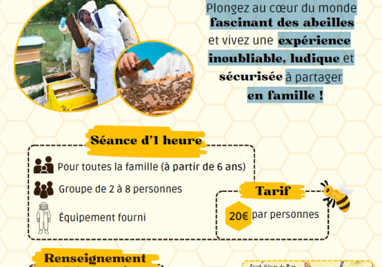 Vendée ruches – Baptême en apiculture