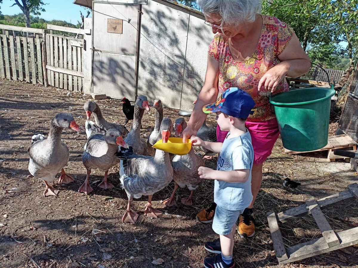 La Ferme pédagogique