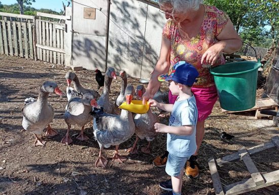 LA FERME PÉDAGOGIQUE DE LA JARRIE