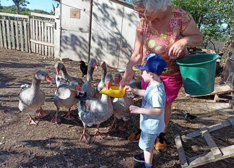 THE PEDAGOGICAL FARM OF LA JARRIE