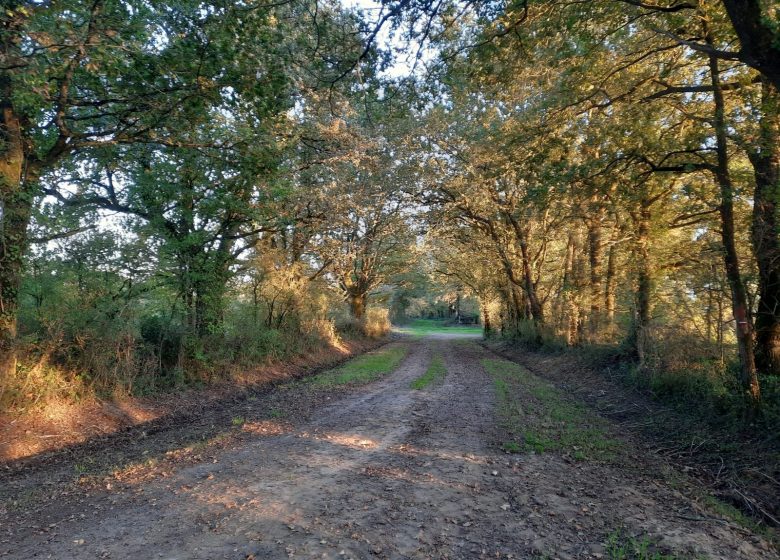Sentier de la Battée
