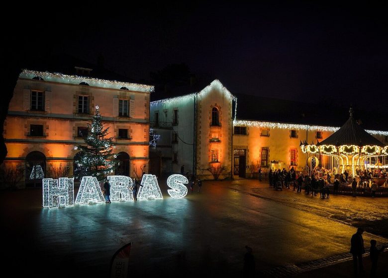 Spectacle de Noel au Haras de la Vendée « Rêve à la gare »