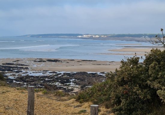 Le Lokat&rsquo;yf 85