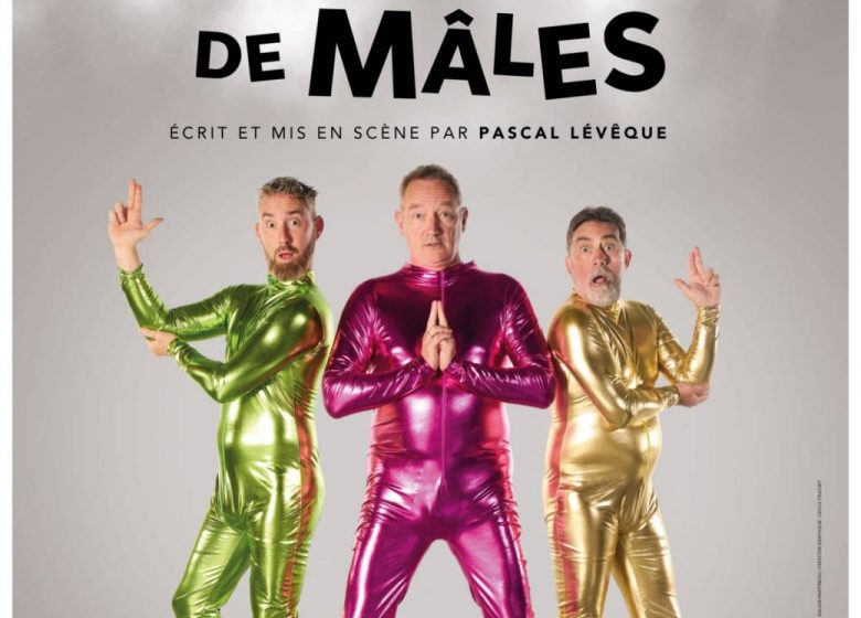 Soirée Théatre au Comédie bis : Drôle de Mâles