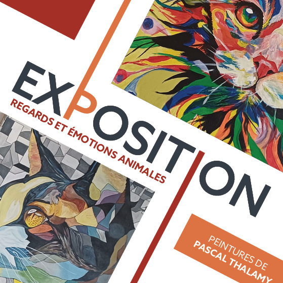 Exposition regards et émotions animales