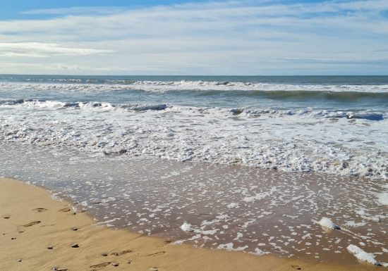 Le Lokat&rsquo;yf 85