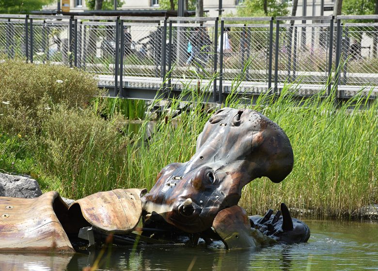 LES ANIMAUX DE LA PLACE