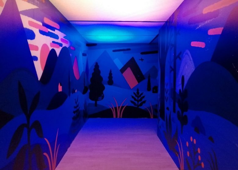 Espace d’art contemporain du Cyel
