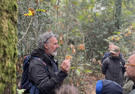 Sortie nature – Les petits coins de paradis yonnais