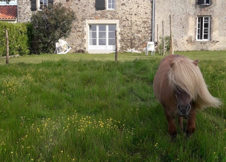 GÎTE MEUBLÉ MOULIN PAPON