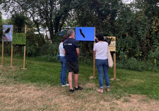 Expo photos commentée au Moulin de Rambourg « Comme un oiseau »