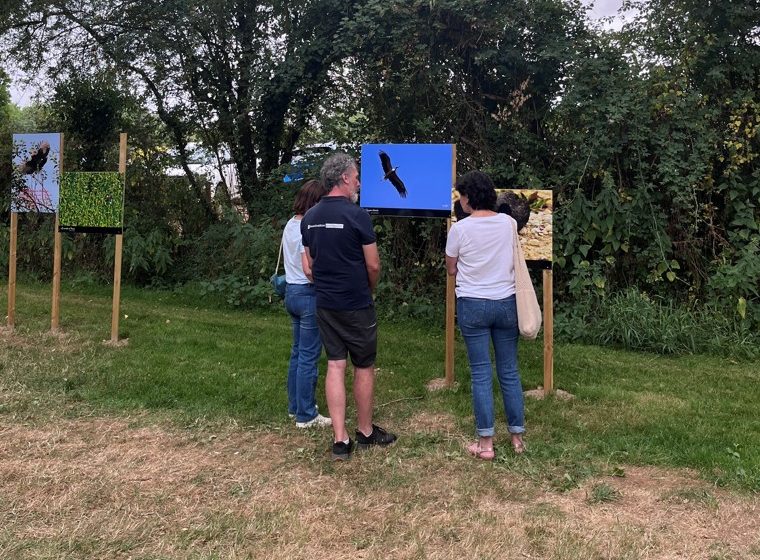 Expo photos commentée au Moulin de Rambourg « Comme un oiseau »