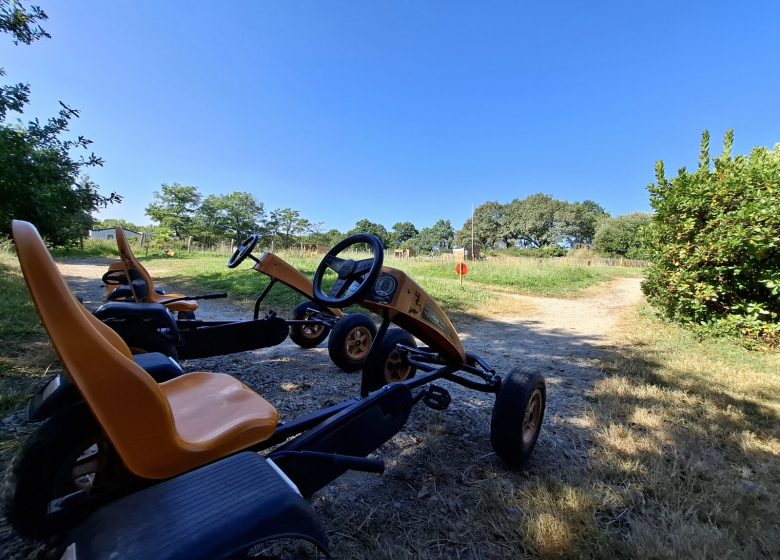 Camping l&rsquo;Ambois