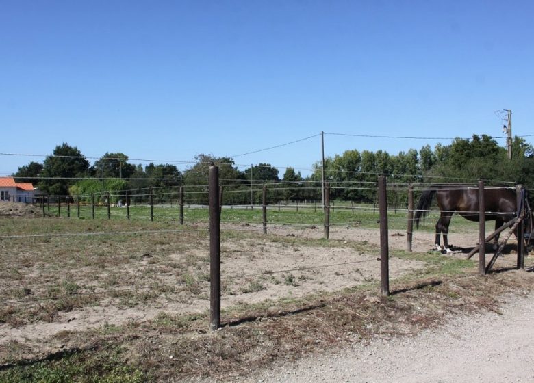 THE STABLES OF MONCONSEIL