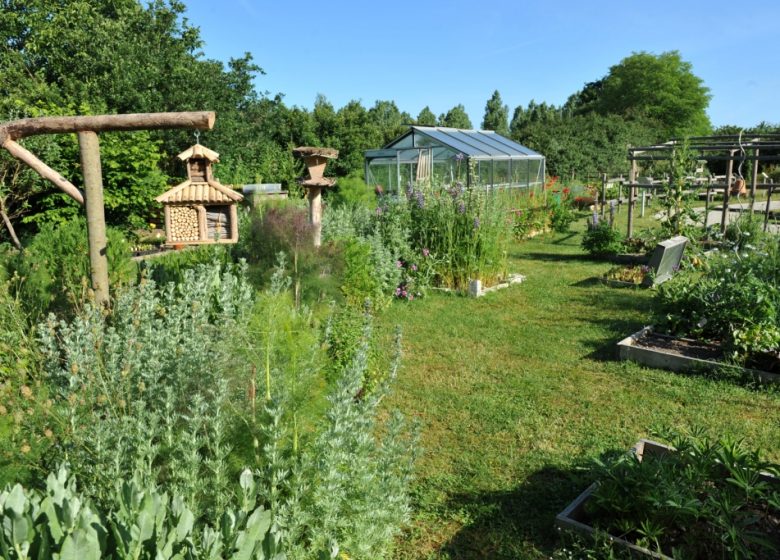 JARDIN AU NATUREL DE LA MAISON DES LIBELLULES